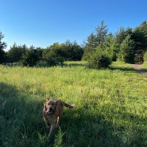 Meet your Posher, Lydia